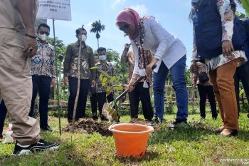 Pemkot Pariaman upayakan bangun pertanian terpadu