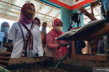 Komisi IV DPR RI kunjungi budidaya magot di Pariaman