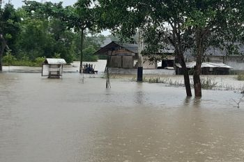 Ibu kota Kepri terancam banjir