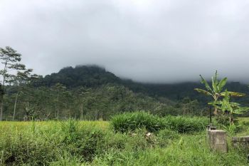 Puncak Semeru tertutup mendung  pekat
