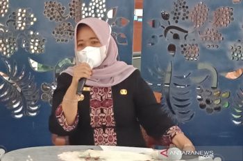 Bupati Sleman meraih Natamukti Nindya Ganaprava 2021