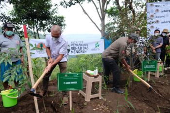 Komitmen melestarikan lingkungan, Adaro Tanam pohon di Bukit Menoreh