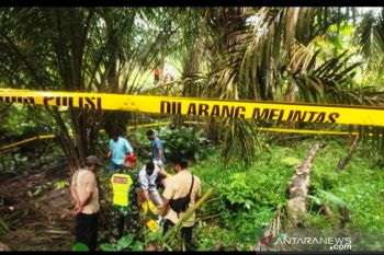 Polres Dharmasraya ungkap identitas kerangka manusia  di kebun sawit