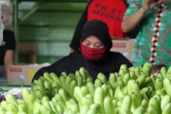 Neraca perdagangan luar negeri Lampung surplus
