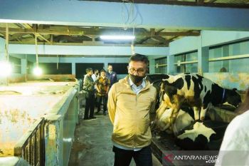 Demi wujudkan program Suka Sapi, Bupati Solok Selatan kunjungi BET Cipelang