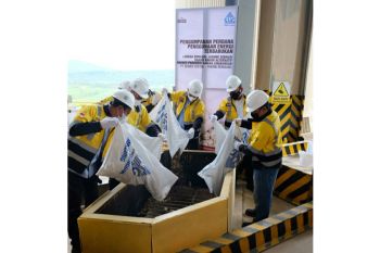 Semen Gresik manfaatkan bonggol jagung sebagai bahan bakar