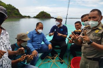 BUMN gandeng warga Labuan Bajo transplantasi terumbu karang