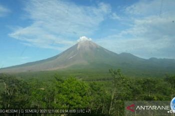 Aktivitas Gunung Semeru masih diwarnai gempa guguran dan erupsi
