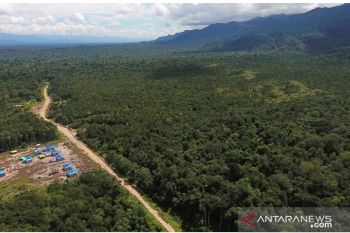 Papua Barat masuk dalam "Lima Kemenangan Dunia" di bidang lingkungan