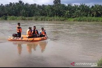 Jasad warga pasaman tenggelam di Sungai Batang Masang belum ditemukan