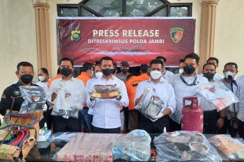 Polda Jambi tangkap enam orang pelaku perdagangan emas ilegal, satu oknum polisi