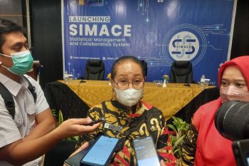 BPS:rasio jenis kelamin kabupaten/kota selaras dengan provinsi