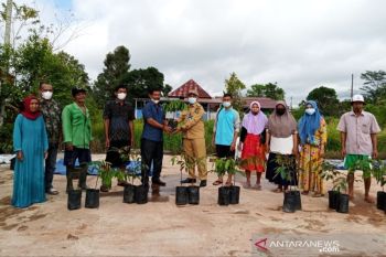 Legislator Kapuas salurkan bantuan bibit buah durian untuk warga