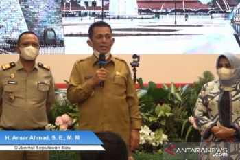 Gubernur Kepri serahkan 12.291 sertifikat tanah untuk masyarakat