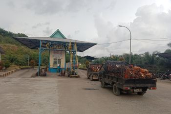 Pabrik sawit di Mukomuko beri sanksi karyawan tidak ikut vaksinasi