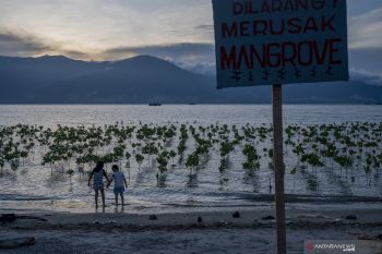 Perubahan iklim berpotensi rugikan Indonesia Rp544 triliun