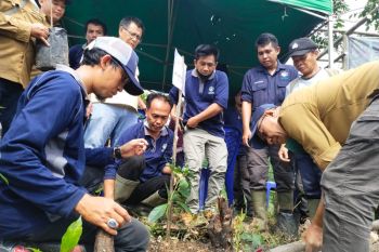 Jejak Bumi Indonesia OKU tanam bibit pohon bambu di DAS Ogan