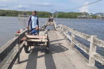 Jembatan sentra ikan teri asin Pulau Pasaran mulai diperbaiki