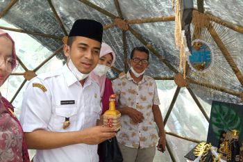 Wawako: Festival ekraf mampu bangkitkan ekonomi masyarakat Solok