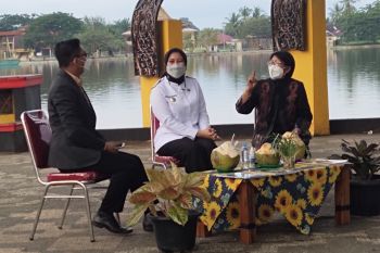 Bupati Inhu : Promosikan wisata lokal secara optimal