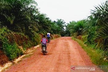 DPRD Kotim berharap bagi hasil pajak perkebunan direalisasikan