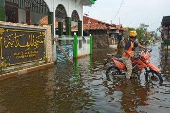 Kot Pekalongan bentuk kelurahan tangguh bencana