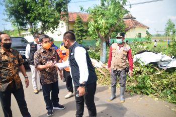 Lebih 500 rumah di Kabupaten Madiun rusak diterjang angin kencang