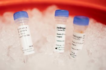 Omicron datang, jangan panik  tapi waspada selalu