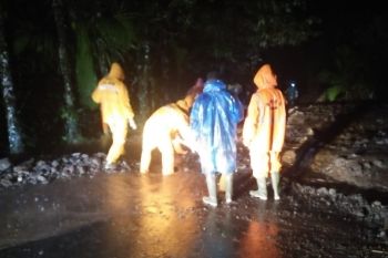 Pohon tumbang dan longsor terjadi di Agam akibat curah hujan tinggi