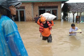 Ratusan rumah terendam banjir di Pasaman Barat