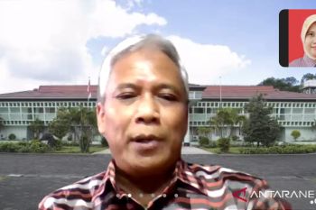 Peneliti : Perlu kembangkan tanaman nyamplung sebagai sumber energi alternatif