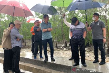 Gubernur  Kaltim tinjau pembangunan penahan abrasi di Kabupaten Berau