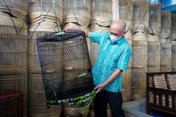 Teten Masduki dorong perajin sangkar  burung untuk urus NIB