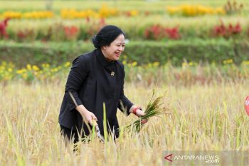 Puan Maharani: Hindari kerumunan cegah Omicron