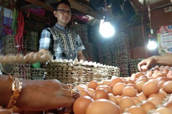 Harga sejumlah kebutuhan pokok di Palangka Raya kembali turun