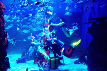 Santa Claus dan putri duyung hias pohon Natal bawah air