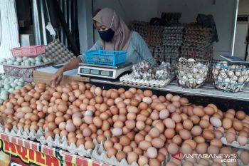 Harga telur ayam di Baturaja  melonjak jelang Natal dan Tahun Baru