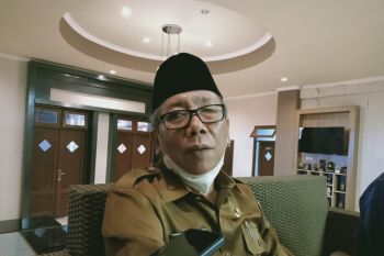 Distan usulkan datangkan cabai dari luar daerah stabilkan harga