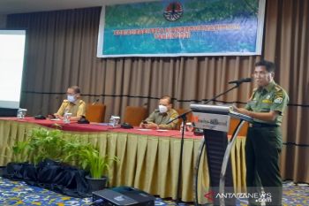 Akademisi: pelestarian mangrove perlu kerja sama semua pihak