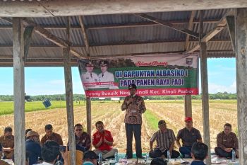 Wabup  Pasaman Barat panen raya padi biofortifkasi bernilai gizi