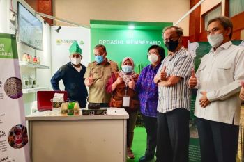 BPDASHL Memberamo Papua kenalkan olahan mangrove berupa teh celup, rasanya?