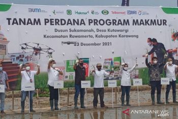 Kementerian BUMN sebut petani ikut program Makmur dapat banyak keuntungan