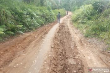 Warga Maur Hilia Agam butuh jalan bawa hasil pertanian