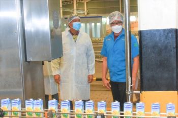 Pengembangan industri pengolahan buah perlu didorong
