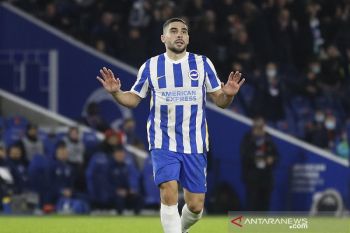 Brighton gilas Brentford