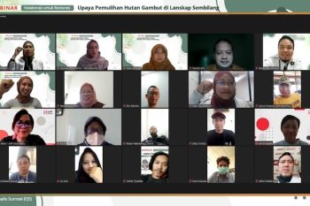 Hutan gambut Lanskap Sembilang Musi Banyuasin jadi target restorasi 2022