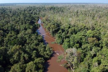 KLHK siapkan sistem  monitoring kegiatan restorasi perusahaan HTI