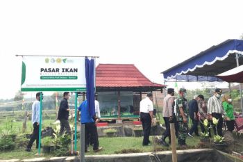 Dompet Dhuafa Bersama UPZ Permata Bank Syariah kucurkan program mina padi