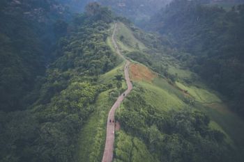 Inilah lima manfaat rekreasi di hutan sambut tahun baru 2022