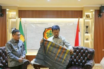 Mentan siap bantu Majene 28 ribu ekor kambing